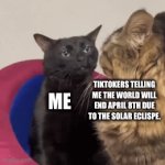 these goofy tiktokers bro. | TIKTOKERS TELLING ME THE WORLD WILL END APRIL 8TH DUE TO THE SOLAR ECLISPE. ME | image tagged in gifs,goofy ahh,cats,dumb,end of the world | made w/ Imgflip video-to-gif maker