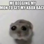 she said no | ME BEGGING MY MON TO GET MY XBOX BACK | image tagged in sad mouse tiktok | made w/ Imgflip meme maker