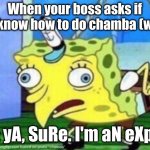 Un perro normal | When your boss asks if you know how to do chamba (work); Me: yA, SuRe. I'm aN eXpErT | image tagged in memes,mocking spongebob | made w/ Imgflip meme maker