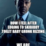 Gus Fring we are not the same | HOW I FEEL AFTER EDGING TO SKIBIDDY TOILET BABY GRONK RIZZING; WE ARE NOT THE SAME | image tagged in gus fring we are not the same | made w/ Imgflip meme maker