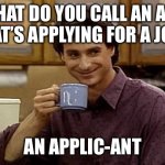 Dad Joke | WHAT DO YOU CALL AN ANT THAT’S APPLYING FOR A JOB? AN APPLIC-ANT | image tagged in dad joke,ants | made w/ Imgflip meme maker