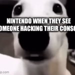 Homebrew | NINTENDO WHEN THEY SEE SOMEONE HACKING THEIR CONSOLE | image tagged in gifs,fun,gaming,3ds,wii u,relatable | made w/ Imgflip video-to-gif maker