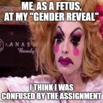 wait what? | ME, AS A FETUS, AT MY "GENDER REVEAL"; I THINK I WAS CONFUSED BY THE ASSIGNMENT | image tagged in drag queen | made w/ Imgflip meme maker