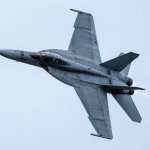 f 18 super hornet