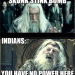 Indians vs Stik Bomb | SKUNK STINK BOMB; INDIANS:; YOU HAVE NO POWER HERE | image tagged in you have no power here | made w/ Imgflip meme maker