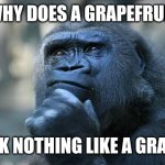Deep Thoughts | WHY DOES A GRAPEFRUIT; LOOK NOTHING LIKE A GRAPE? | image tagged in deep thoughts | made w/ Imgflip meme maker