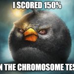 im so smard | I SCORED 150%; ON THE CHROMOSOME TEST | image tagged in angry birds bomb,offensive,funny,memes,stop reading the tags,gifs | made w/ Imgflip meme maker