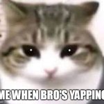 cute cat | ME WHEN BRO'S YAPPING | image tagged in cute cat | made w/ Imgflip meme maker
