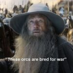 These orcs are bred for war