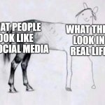 Horse Drawing | WHAT PEOPLE LOOK LIKE ON SOCIAL MEDIA; WHAT THEY LOOK IN REAL LIFE | image tagged in horse drawing | made w/ Imgflip meme maker