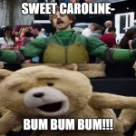 Sweet Caroline! | SWEET CAROLINE-; BUM BUM BUM!!! | image tagged in sweet caroline meme | made w/ Imgflip meme maker