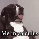 Me in high school math | Me in calculus | image tagged in gifs,dogs | made w/ Imgflip video-to-gif maker