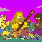 Homer J., how do you keep your hair so rich and full?