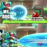 swap | MY DOG; MY CAT SLAPPING IT ON THE HEAD | image tagged in beam attack,dog,cat | made w/ Imgflip meme maker