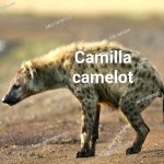 Hyena Q Camilla peeing in all world leaders, kings, all ,royals