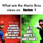 Mario Bros Views | Racism; RACISM IS DETRIMENTAL TO ARE SOCIETY AND IT HURTS MILLONS OF LIVES EVERY YEAR; IF IT AINT WHITE IT AINT RIGHT | image tagged in mario bros views,racist,memes | made w/ Imgflip meme maker