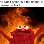 HALP | Principal: Don't panic, but the school is on fire! The kid named school: | image tagged in elmo fire,fire,school,aaaaaaaaaaaaaaaaaaaaaaaaaaa | made w/ Imgflip meme maker