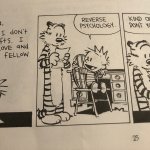 Calvin and hobbles