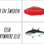 I'm no expert in the species, but somethings really fishy here... | Fish in Sweden; Fish everywhere else | image tagged in 4 boxes,muh fish,memes,fishy,hmmm,y u lookin at the tags | made w/ Imgflip meme maker