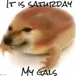 It is saturday