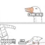 Goose Chase | COME HERE; NOOOO!!! STOP RUNNING | image tagged in goose chase | made w/ Imgflip meme maker