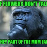 Deep Thoughts | IF FLOWERS DON'T TALK; ARE THEY PART OF THE MUM FAMILY? | image tagged in deep thoughts | made w/ Imgflip meme maker