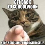 Stop it. Get some help. | GET BACK TO SCHOOLWORK; STOP SCROLLING THROUGH IMGFLIP | image tagged in yrksgdi,memes,meme,funny memes,funny meme,cat | made w/ Imgflip meme maker