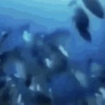 Remember? | LIFE COULD BE A DREAM LIFE COULD BE A DREAM | image tagged in gifs,chimp swimming,funny,goofy ahh,monke,memes | made w/ Imgflip video-to-gif maker