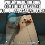Worst part is when you can't set it down | WHEN YOU'RE HOLDING SOMETHING HEAVY AND YOUR NOSE START'S TO ITCH | image tagged in private internal screaming | made w/ Imgflip meme maker