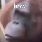 how