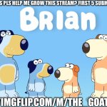 brian | COULD YOU GUYS PLS HELP ME GROW THIS STREAM? FIRST 5 SUBMISSIONS GET MOD; HTTPS://IMGFLIP.COM/M/THE_GOAT_STREAM | image tagged in brian | made w/ Imgflip meme maker