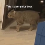 cat door fight GIF Template