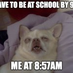 Exhausted | I HAVE TO BE AT SCHOOL BY 9AM; ME AT 8:57AM | image tagged in dog passed out sick | made w/ Imgflip meme maker