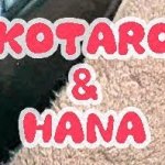 Kotaro and Hana Name Tags