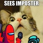 sus imposter | SEES IMPOSTER | image tagged in memes,scared cat | made w/ Imgflip meme maker