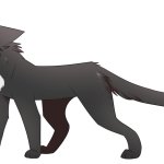 ravenpaw