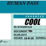 Horrible image (no longer considerd a meme) | HUMAN PASS; COOL; Yes | image tagged in blank license | made w/ Imgflip meme maker