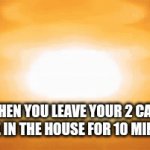 POV: Cats | WHEN YOU LEAVE YOUR 2 CATS ALONE IN THE HOUSE FOR 10 MINUTES | image tagged in gifs,nuclear explosion,cats | made w/ Imgflip video-to-gif maker