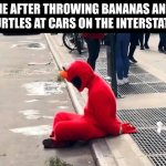 I thought it was legal! | ME AFTER THROWING BANANAS AND TURTLES AT CARS ON THE INTERSTATE: | image tagged in arrested elmo | made w/ Imgflip meme maker