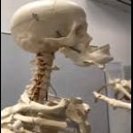 mewing skeleton