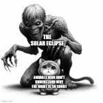 Solar Eclipse | THE SOLAR ECLIPSE; ANIMALS WHO DON'T UNDERSTAND WHY THE NIGHT IS SO SHORT | image tagged in zombie and cat | made w/ Imgflip meme maker