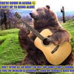 Bear Rocking Out !!!  \m/ | 🎼 IF YOU’RE DOWN IN ACUNA 🎼
AND U AIN’T UP TO BEING ALONE; DON’T SPEND ALL UR MONEY ON JUST ANY HONEY THAT’S GROWN

🎶 GO FIND THE MEXICAN BLACKBIRD , & SEND UR TROUBLES BACK HOME 🎶 | image tagged in bear with guitar | made w/ Imgflip meme maker