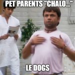 Main Expert Hu (Hindi) | PET PARENTS "CHALO..."; LE DOGS | image tagged in main expert hu hindi | made w/ Imgflip meme maker