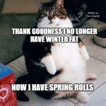 fat cat | MEMEs by Dan Campbell; THANK GOODNESS I NO LONGER
HAVE WINTER FAT; NOW I HAVE SPRING ROLLS | image tagged in fat cat | made w/ Imgflip meme maker