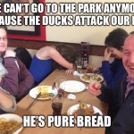 Dad Joke Meme | WE CAN’T GO TO THE PARK ANYMORE BECAUSE THE DUCKS ATTACK OUR DOG; HE’S PURE BREAD | image tagged in dad joke meme,puns | made w/ Imgflip meme maker