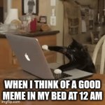 When I think of a good meme in my bed at 12 am | WHEN I THINK OF A GOOD MEME IN MY BED AT 12 AM | image tagged in gifs,cats | made w/ Imgflip video-to-gif maker