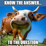 cow | WHEN YOU ALONE KNOW THE ANSWER... TO THE QUESTION "WHO FARTED ?" | image tagged in cow | made w/ Imgflip meme maker