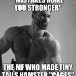 Buff guy | "MISTAKES MAKE YOU STRONGER"; THE MF WHO MADE TINY TAILS HAMSTER "CAGES" | image tagged in buff guy | made w/ Imgflip meme maker