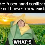 I hate when this happens | Me: *uses hand sanitizer*

The cut I never knew existed: | image tagged in gifs,funny,meme,memes,funny memes,annoying | made w/ Imgflip video-to-gif maker