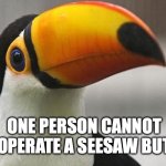 2CAN | ONE PERSON CANNOT OPERATE A SEESAW BUT | image tagged in toucan seesaw | made w/ Imgflip meme maker